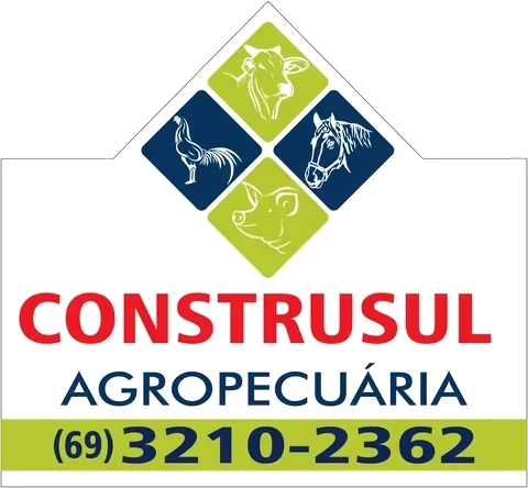 Construsul